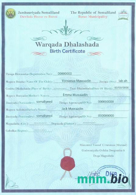 Somalia narodziny certyfikat szablon w formacie PSD